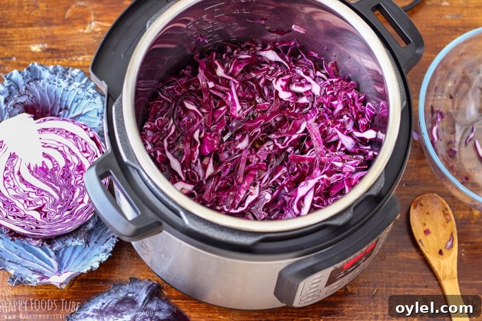 Tender Braised Red Cabbage in the Instant Pot 5 Shredded red cabbage in the pressure cooker instant pot.