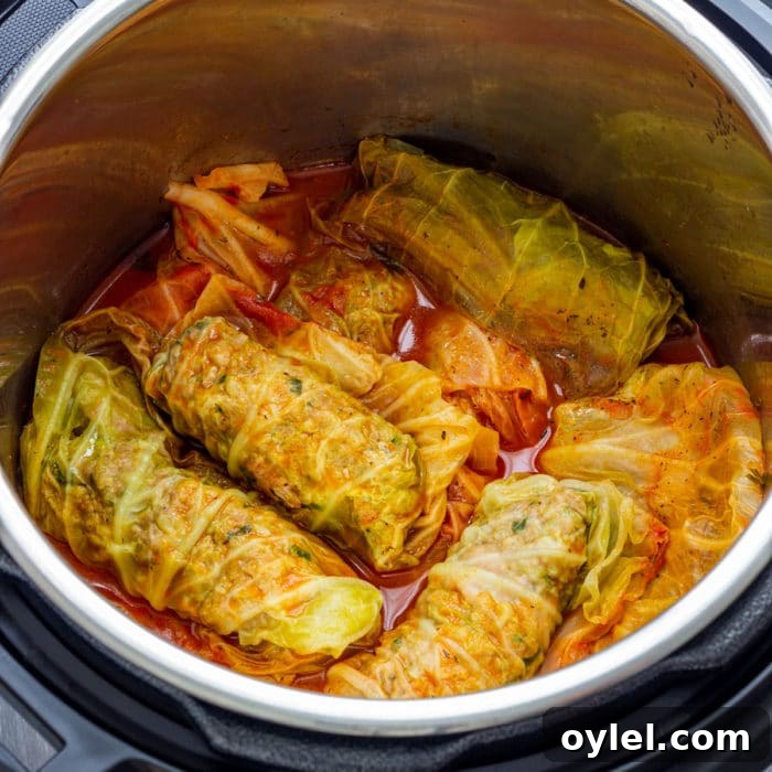 Tender Braised Red Cabbage in the Instant Pot 7 Homemade Instant Pot Stuffed Cabbage Rolls