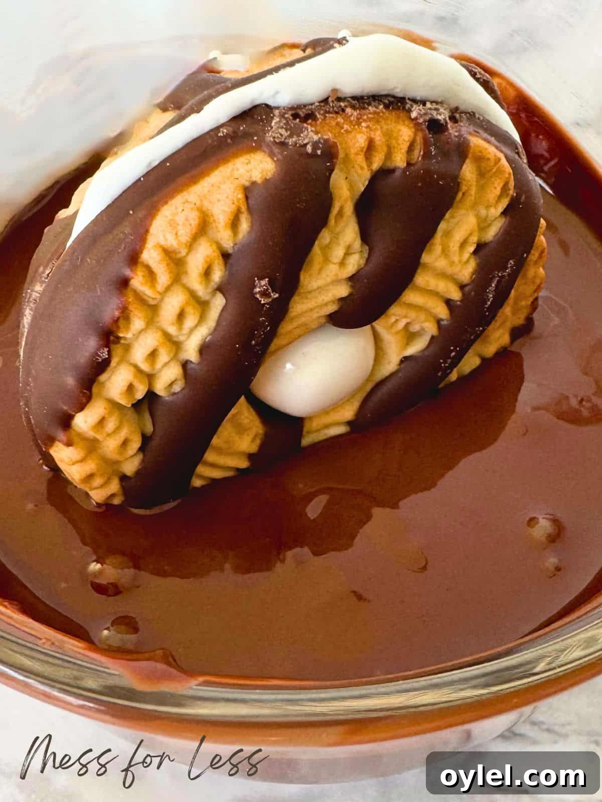 Fourth of July Red, White and Blue Cookie Recipes 7 dipping cookie in melted chocolate