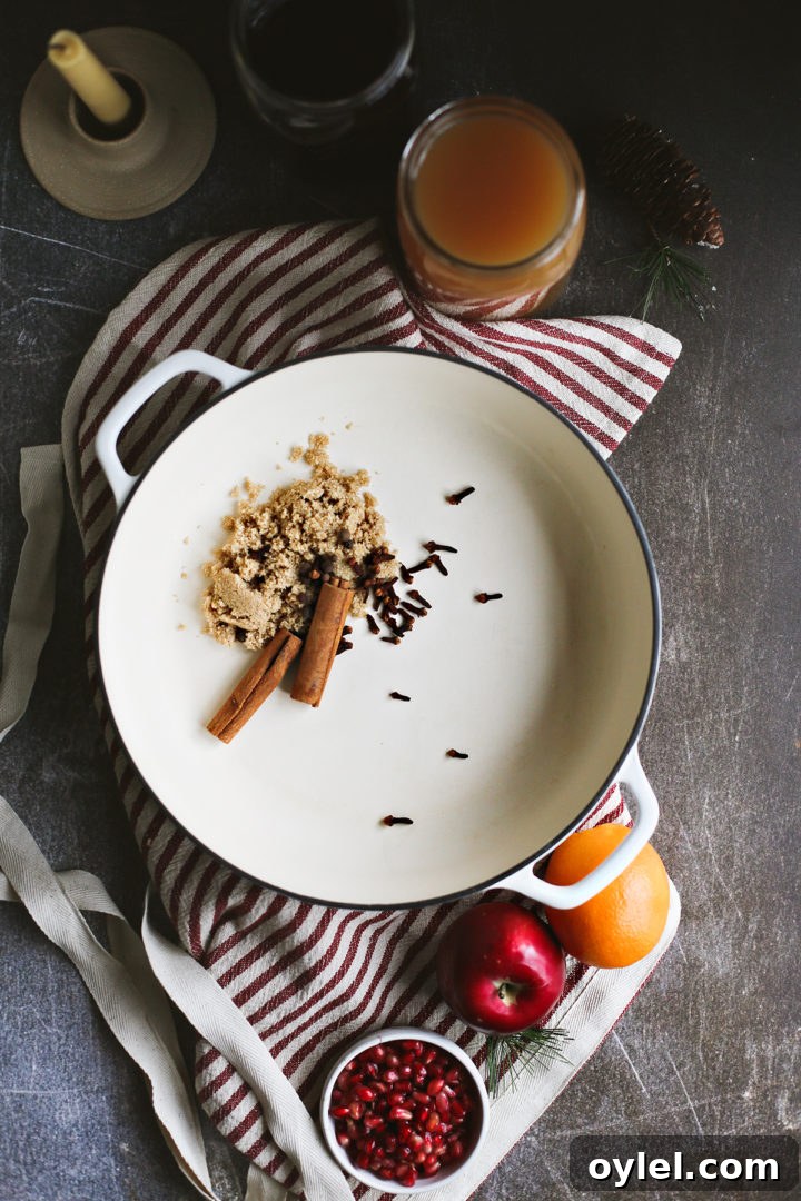 Cozy Spiced Apple Cider with Pomegranate 2 photo of ingredients in spiced apple cider