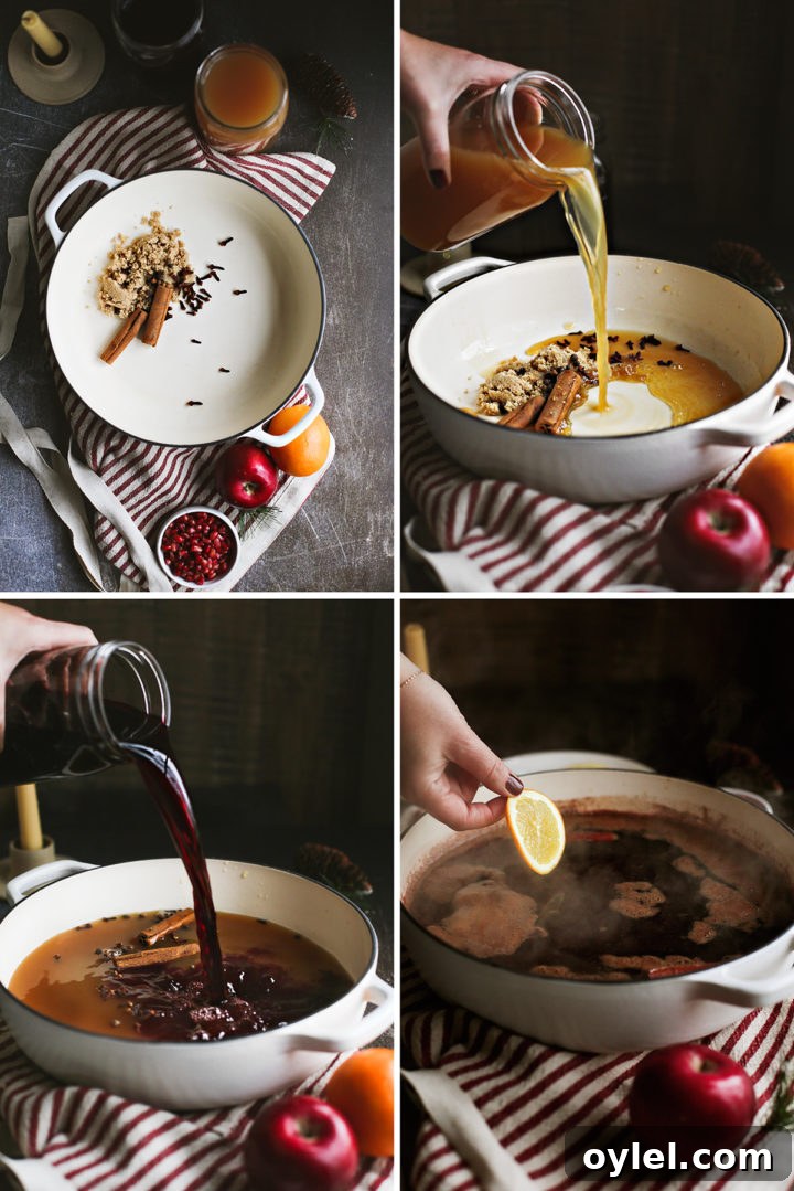 Cozy Spiced Apple Cider with Pomegranate 3 step by step photos how to make hot spiced apple cider