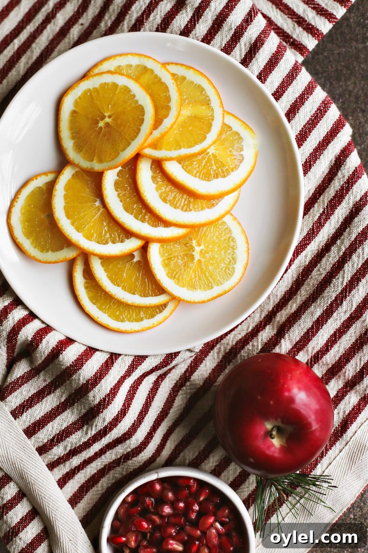 Cozy Spiced Apple Cider with Pomegranate 5 photo of garnishes for spiced apple cider