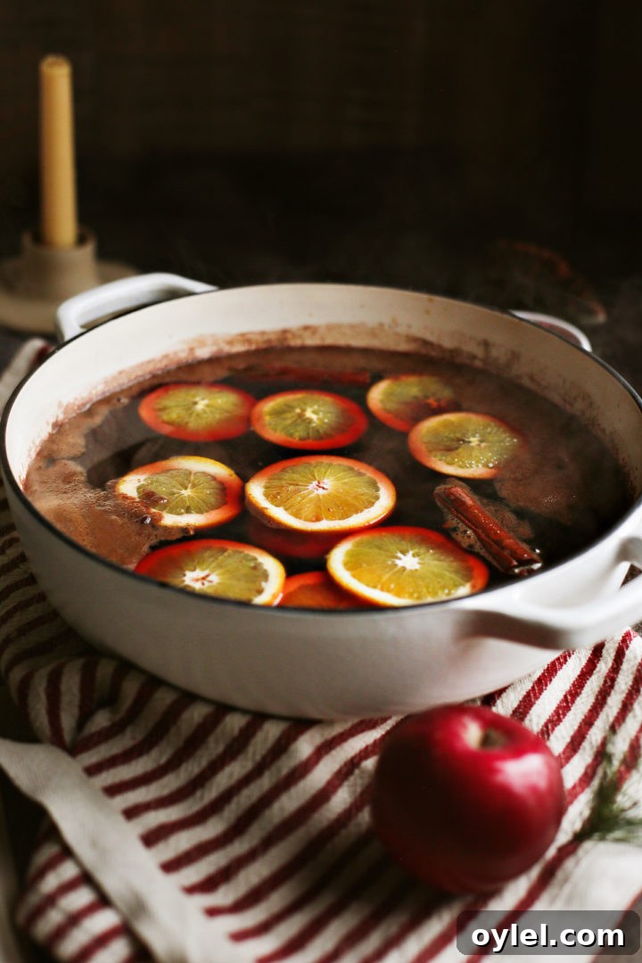 Cozy Spiced Apple Cider with Pomegranate 6 a cast iron pot full of spiced apple cider with orange slices