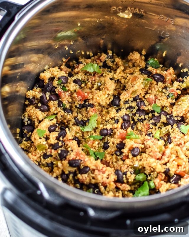 Instant Pot containing Mexican quinoa, black beans and fresh cilantro leaves. 