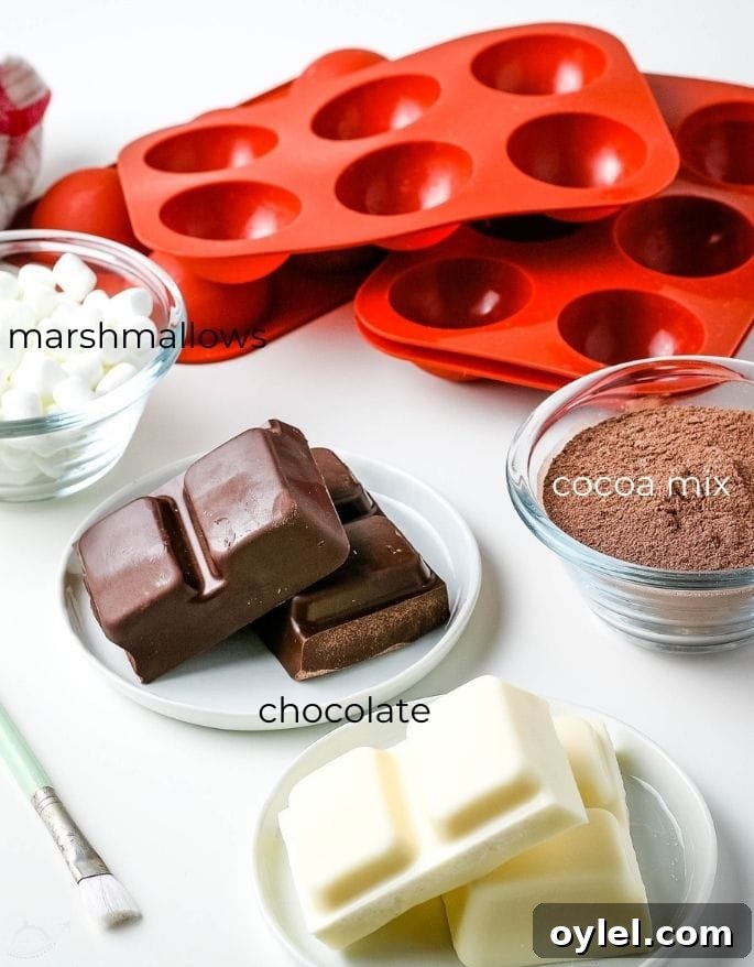 ingredients for hot chocolate bombs