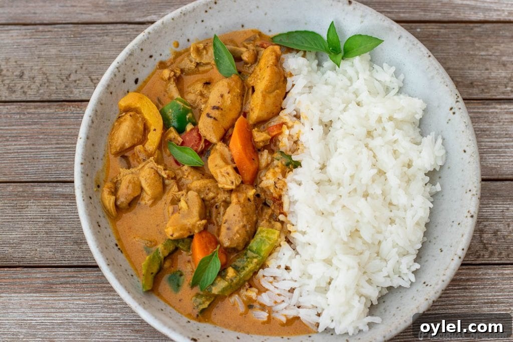 Rice and chicken curry in a bowl