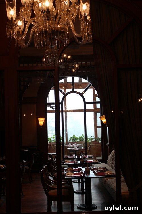 Wildflower Hall Shimla: Historic Luxury Hotel in the Himalayas 10 img 952 9