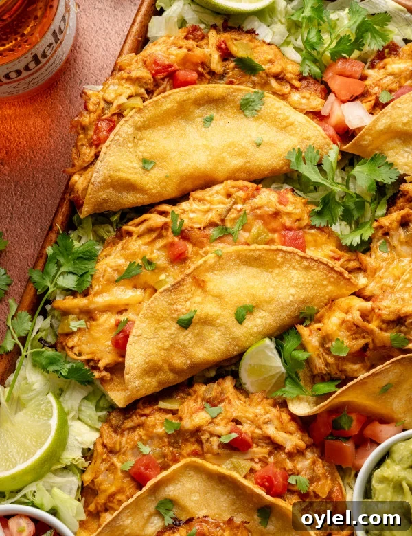 Baked chicken tacos