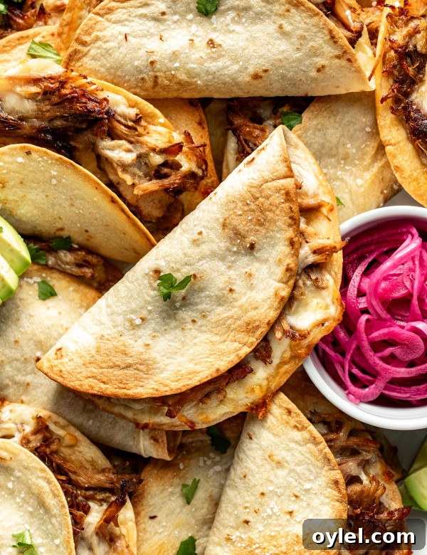 Baked pork carnitas tacos