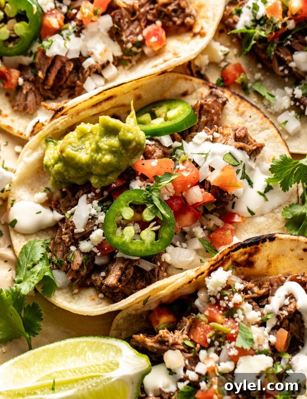 Beef barbacoa tacos