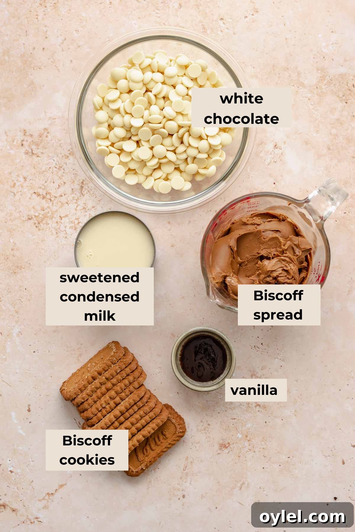 Ingredients for Biscoff fudge.
