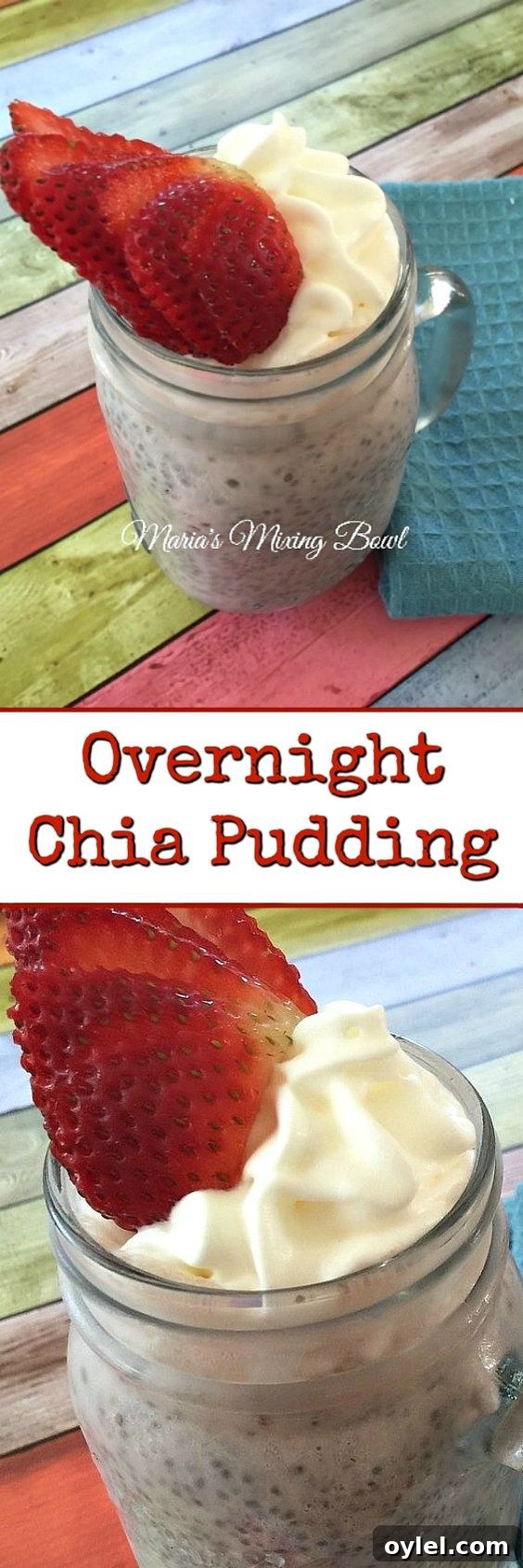 Creamy Overnight Chia Seed Pudding Recipe 3 img 974 3