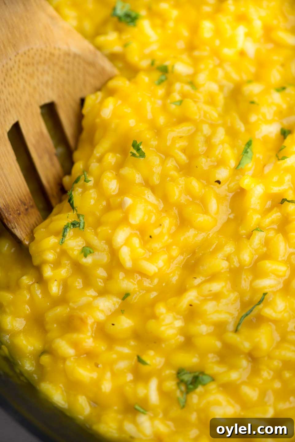 Creamy Butternut Squash Risotto with Crispy Sage 2 Creamy Butternut Squash Risotto, a classic Italian rice dish with arborio rice, Butternut squash puree, nutmeg, white wine and Parmesan cheese. Making restaurant-quality risotto rice at home is easy and takes only 30 minutes.