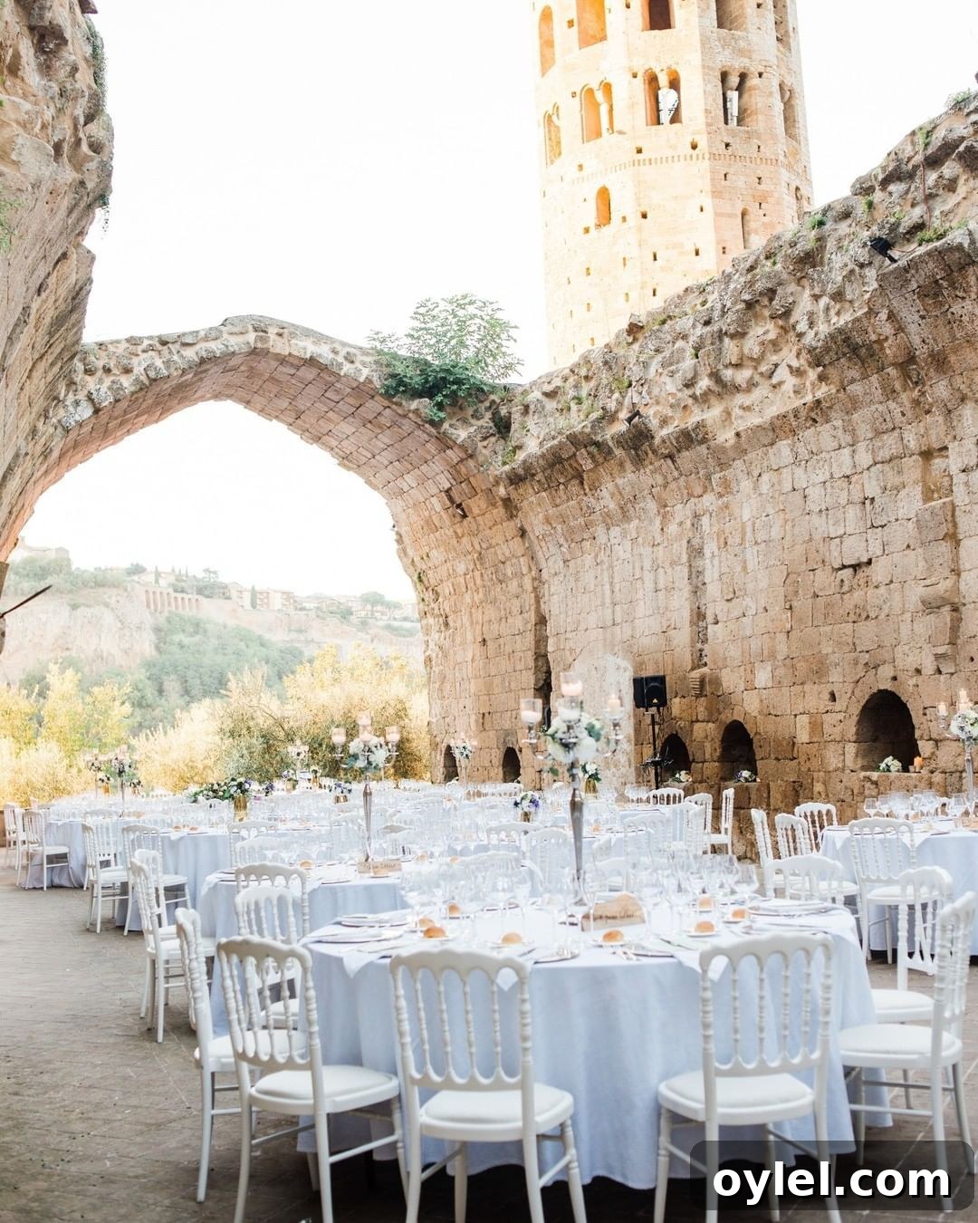 Wedding Reception At A Chateau